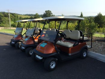 Golf Cart Rentals