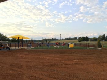 Dog Park